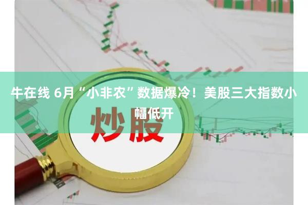 牛在线 6月“小非农”数据爆冷！美股三大指数小幅低开