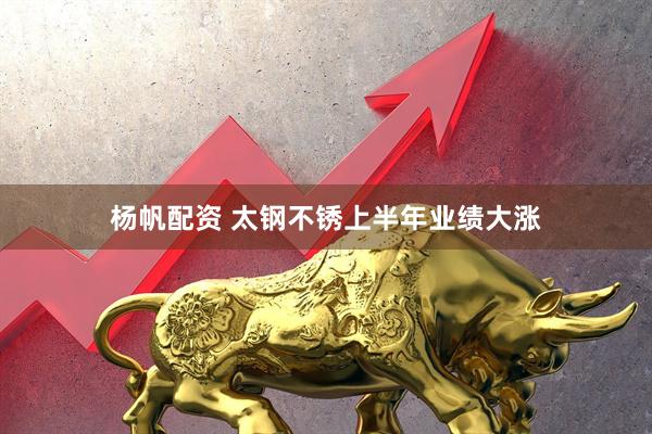 杨帆配资 太钢不锈上半年业绩大涨