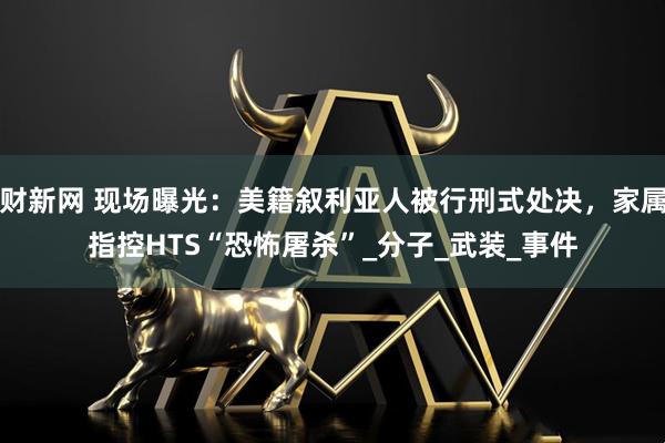 财新网 现场曝光：美籍叙利亚人被行刑式处决，家属指控HTS“恐怖屠杀”_分子_武装_事件