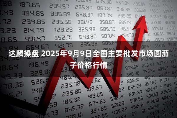 达麟操盘 2025年9月9日全国主要批发市场圆茄子价格行情